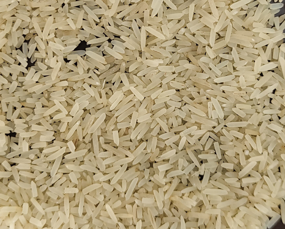 Sella_Short-Grain 1KG