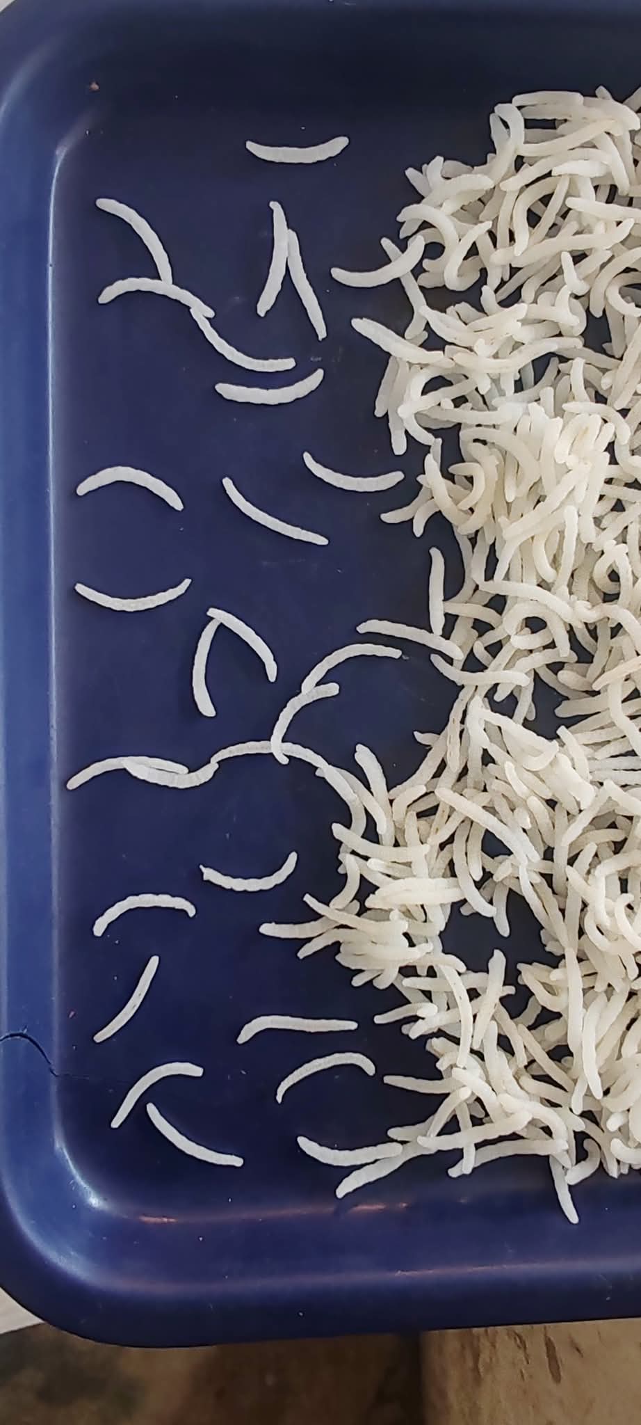 Sella-Rice-1121 1KG